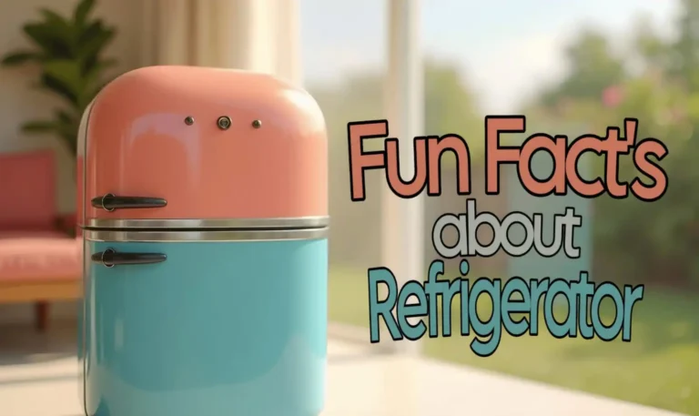 Facts about Refrigerator