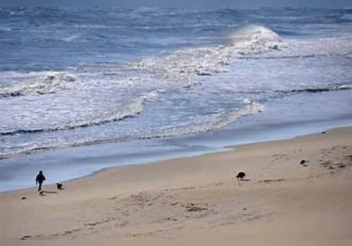 Outer Banks North Carolina